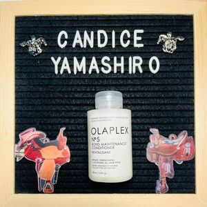 🌻 New with seal intact Full size Olaplex 5 Conditioner 🌻